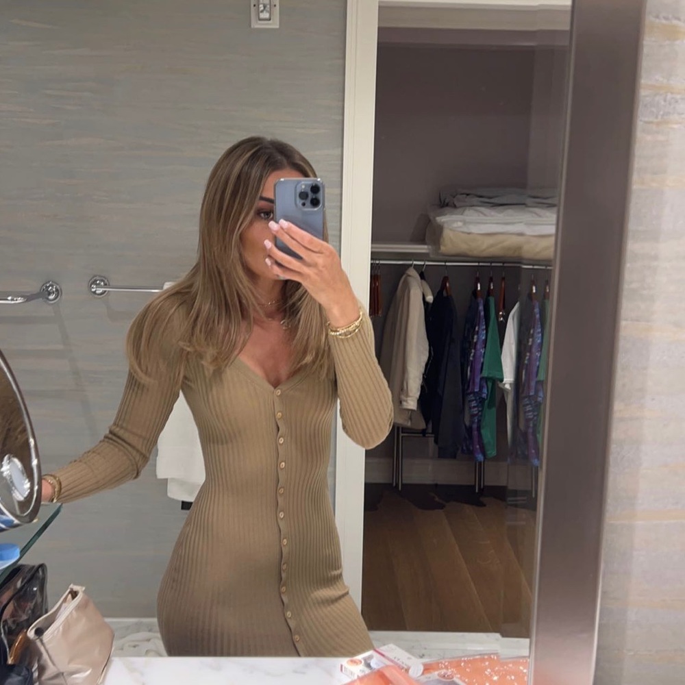 Aritzia Babaton Tan Knit dress